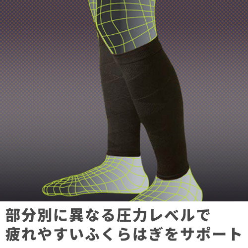 2026 Lucky Bag LLEset