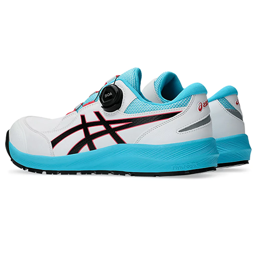 CP309-100