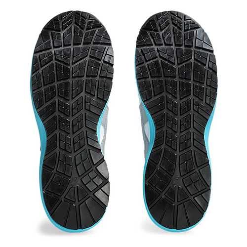 CP309-100