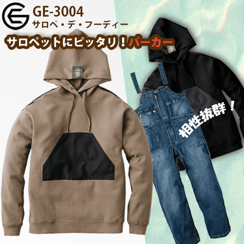GE3004